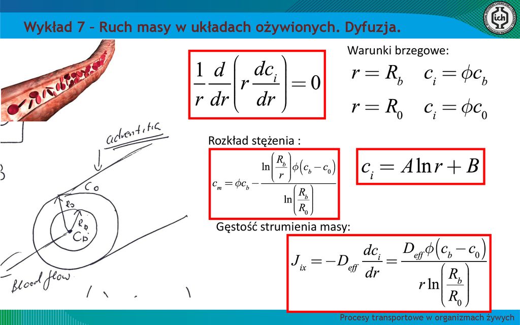 Ruch Masy W Uk Adach O Ywionych Dyfuzyjny Transport Masy Ppt Pobierz